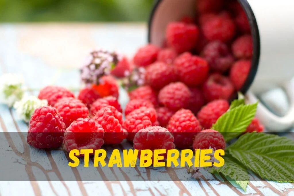 Raspberries