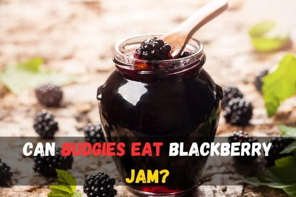 Can budgies eat blackberry jam