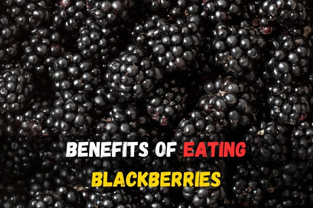 benefits of eating blackberries