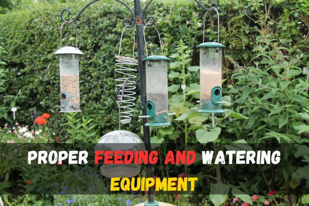 Proper feeding and watering equipment