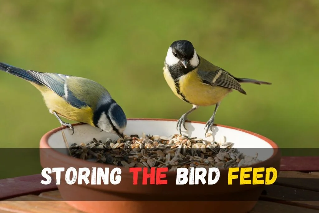 storing birtd feed