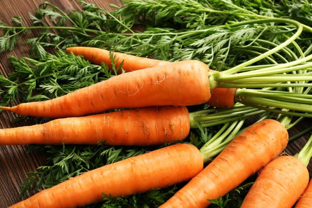 Can geese eat carrot tops and greens?