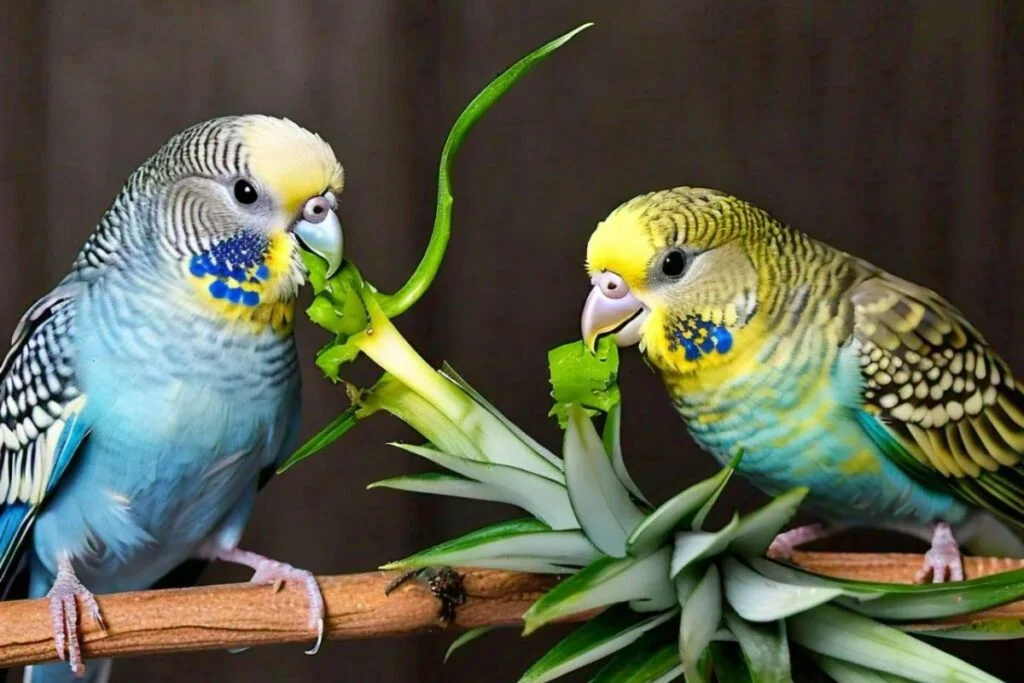 budgies eat pineapple leaves